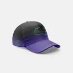 2025 Rays Rookies Hat