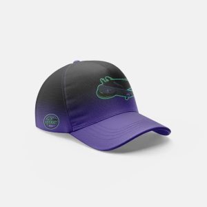 2025 Rays Rookies Hat 1