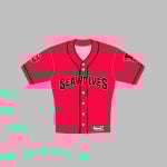 SeaWolves On-Field Game Jersey Giveaway 2025