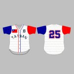 Tigers Taiwan Heritage Jersey Giveaway 2025