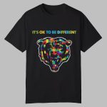 2025 Bears It's Ok To Be Different Shirt