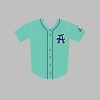 Asheville Tourists Jersey Giveaway 2025 1 1