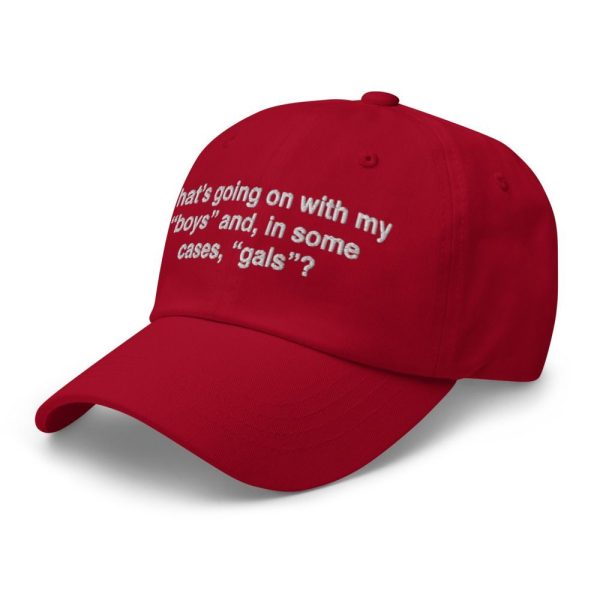 What's Going On With My Boys And In Some Cases Gals Hat 2