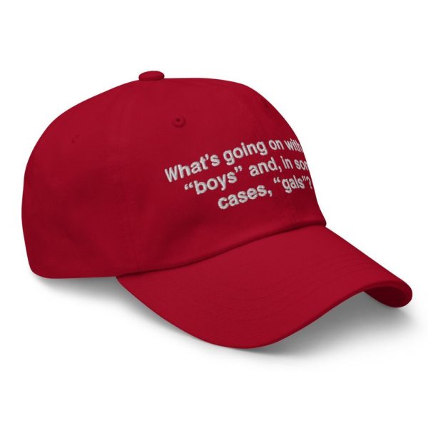 What's Going On With My Boys And In Some Cases Gals Hat 3