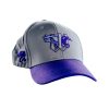 Wichita Wind Surge K State Night Hat 2025 Giveaway 1 2