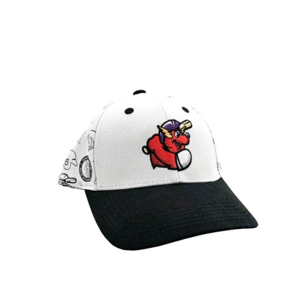 Winston Salem Dash Color Your Own Cap Giveaway 2025 1 2