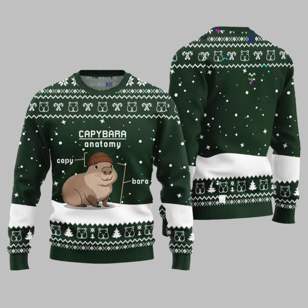 2025 Christmas Capybara Anatomy Ugly Christmas Sweater 1