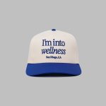 San Diego I'm Into Wellness CA Hat