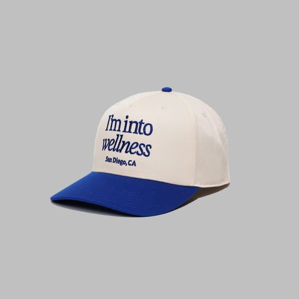San Diego Im Into Wellness San Diego Hat 2
