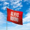21 Tigers ALDS Bound 2025 Flag 1