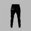 64 2025 Lions Crucial Catch Joggers