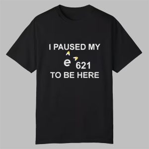 I Paused My E621 To Be Here Shirt 0 0