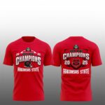 Arkansas State Red Wolves Xbox Bowl Champions 2025 Shirt