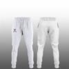 3 Virginia Cavaliers 2025 Taxslayer Gator Bowl Champions Joggers
