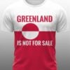 Greenland Is Not For Sale Shirt 3 Greenland Is Not For Sale Shirt 1