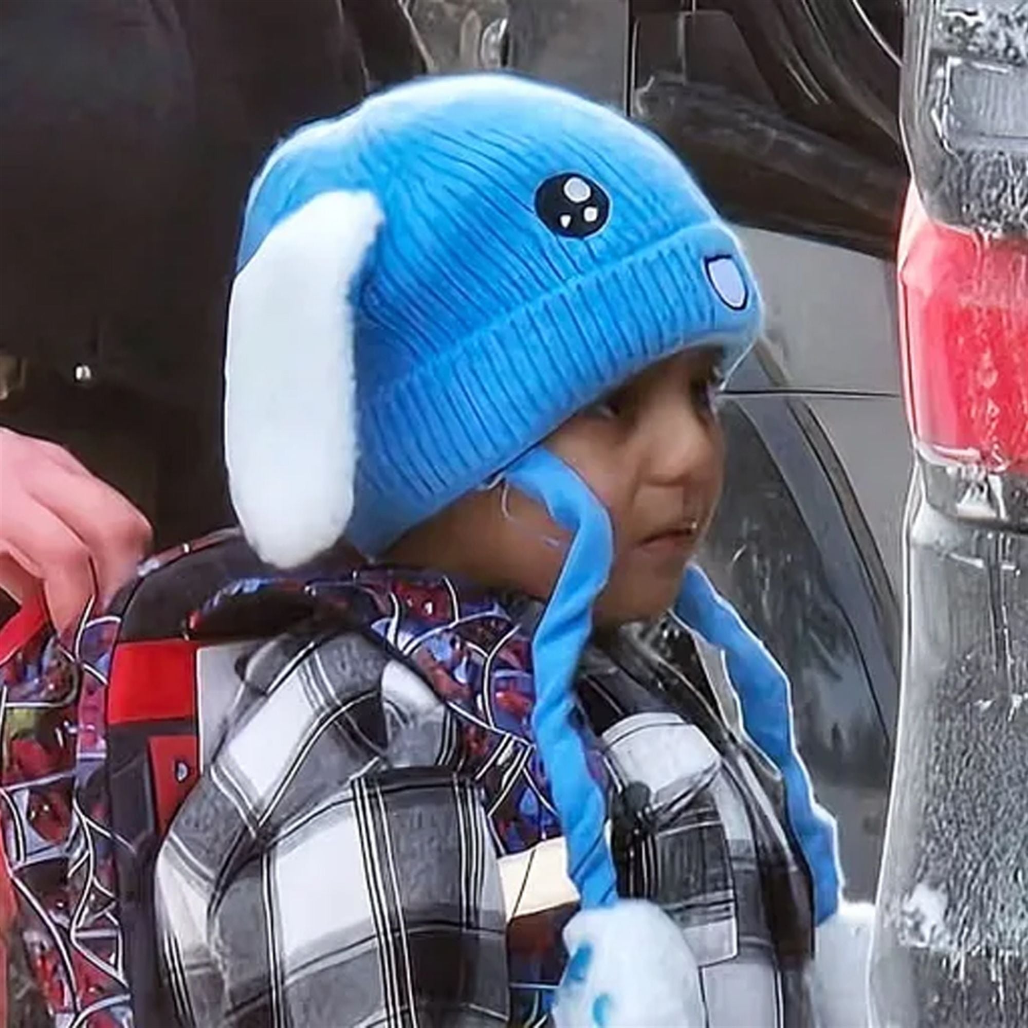 Liam Ramos Bunny Ice Hat 8 Liam Ramos Bunny Ice Hat 8