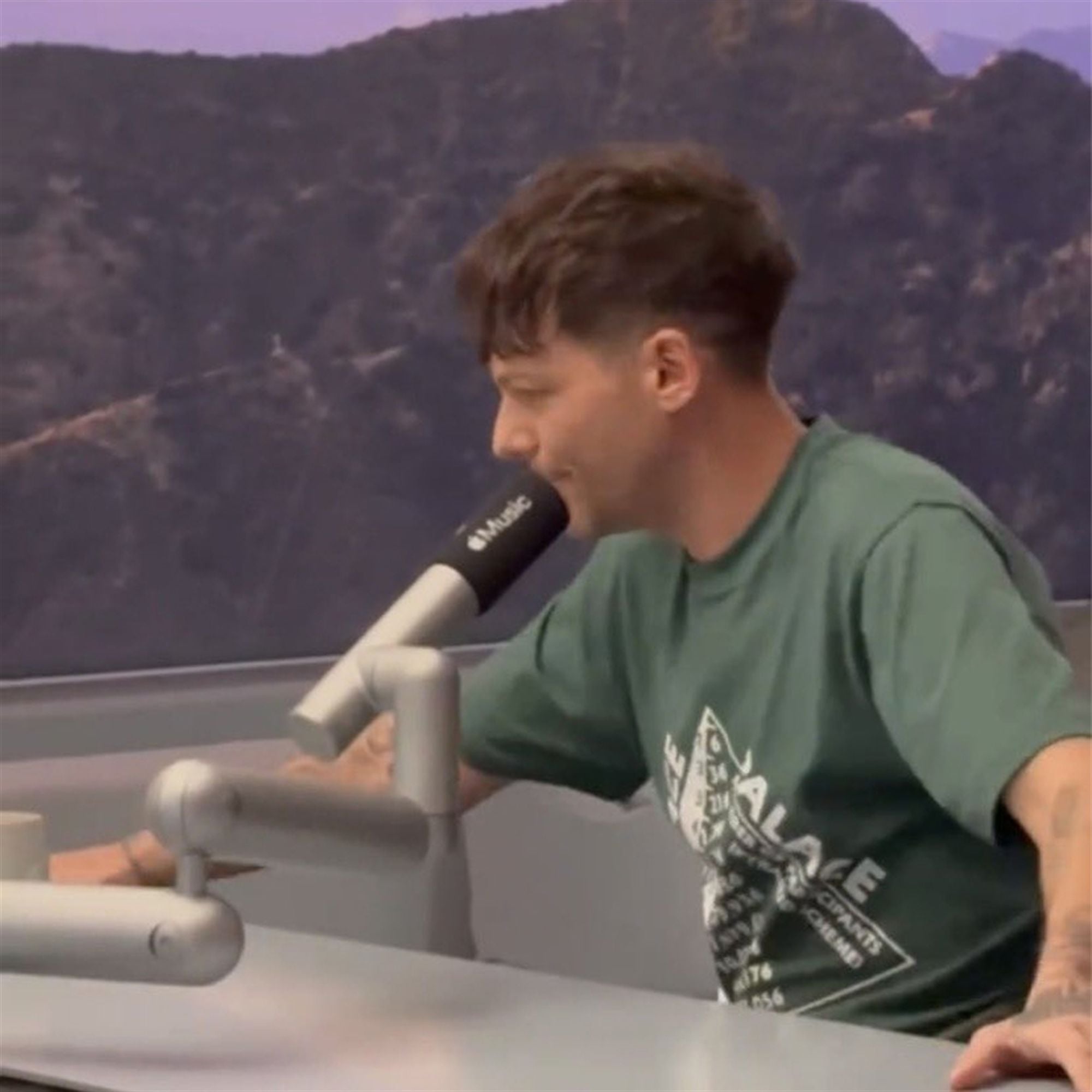 Louis Tomlinson Palace Scheme Shirt 4 Louis Tomlinson Palace Scheme Shirt 4