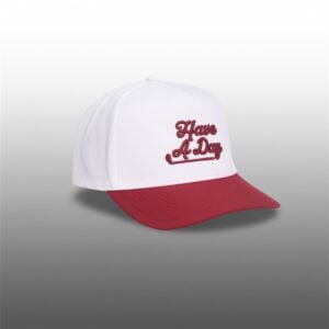 Damien Harris Have A Day Hat 1