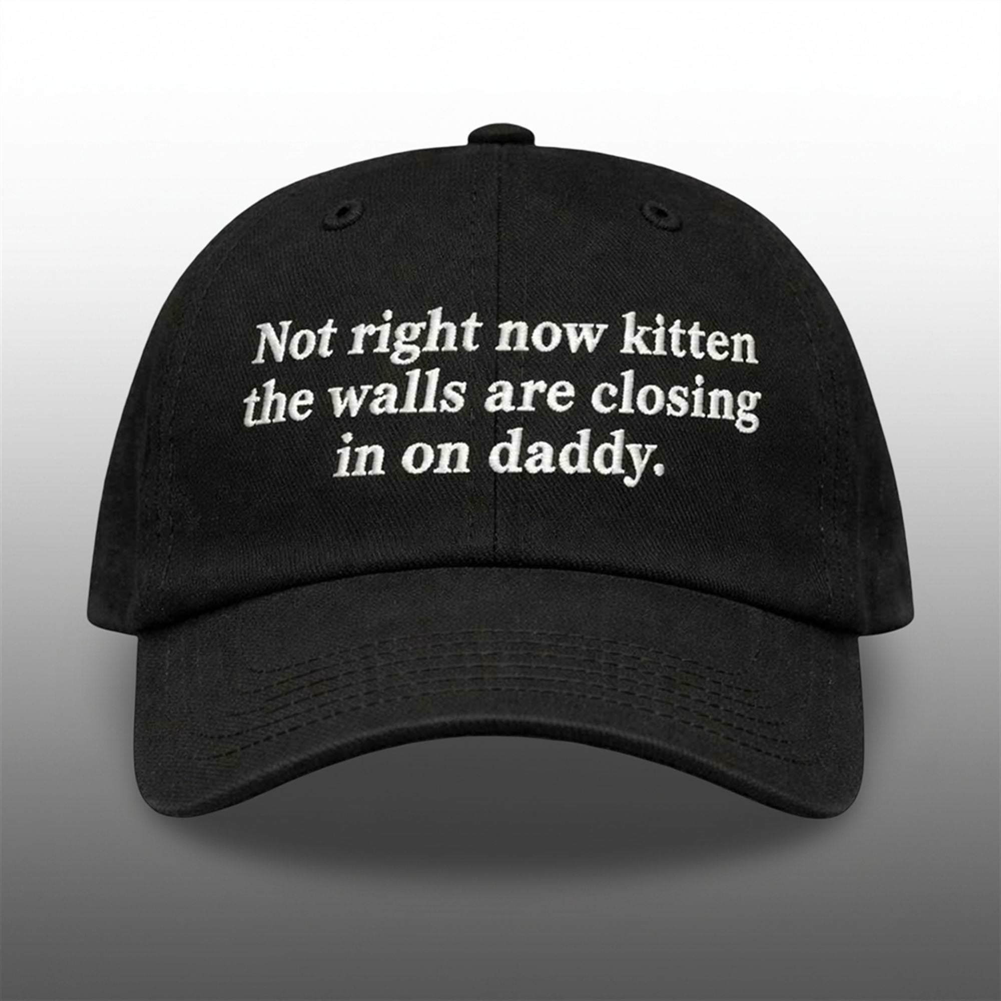 Not Right Now Kitten The Walls Are Closing In On Daddy Hat 1 Not Right Now Kitten The Walls Are Closing In On Daddy Hat 1
