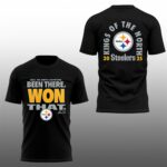 Steelers 2025 AFC North Champions Been There Won That Kings Of The North Shirt