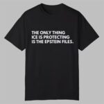 The Only Thing Ice is Protecting is the Epstein Files Shirt