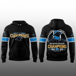 14 Panthers NFC South Division 2025 Champions Hoodie