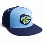 2026 Palm Beach Cardinals Frozen Iguanas Hat