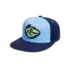 2026 Palm Beach Cardinals Frozen Iguanas Hat 2
