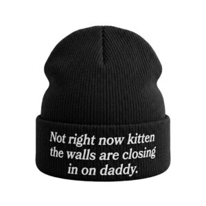 Not Right Now Kitten The Walls Are Closing In On Daddy Beanie Hat 1