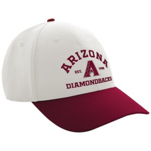 2026 Arizona Diamondbacks Yoga on the Field Hat Giveaway 1
