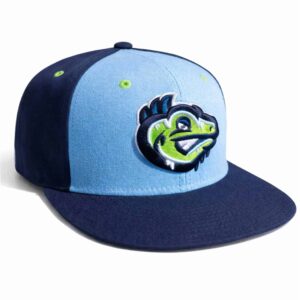 2026 Palm Beach Cardinals Frozen Iguanas Hat 1