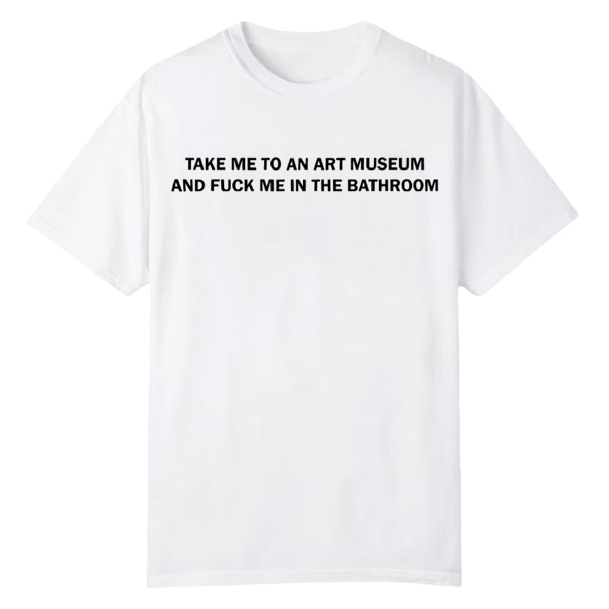 Take Me To An Art Museum And Fuck Me In The Bathroom Shirt 1 0 Take Me To An Art Museum And Fuck Me In The Bathroom Shirt 1