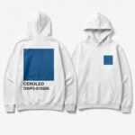 Anne Hathawa Ceruleo DWP2 010526 Hoodie