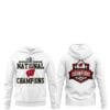 3 2026 Wisconsin Badgers Frozen Four Women's Ice Hockey National Champions Hoodie