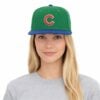 Simpsons Hyperlocal Cubs Hat 2
