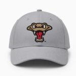 2026 Wisconsin Timber Rattlers Fang's Birthday Hat Giveaway
