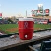 2026 Los Angeles Angels Dugout Cooler Cup 0