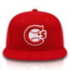 2026 Allen Iverson Canadians Baseball Hat 7 2026 Allen Iverson Canadians Baseball Hat 0