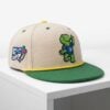2026 Blue Jays 50th Anniversary Sky Dome Turtle Hat