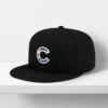 2026 Cubs Pride Month Hat 1
