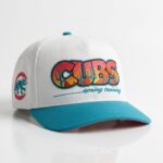 Big Cat Chicago Cubs Spring Training Hat
