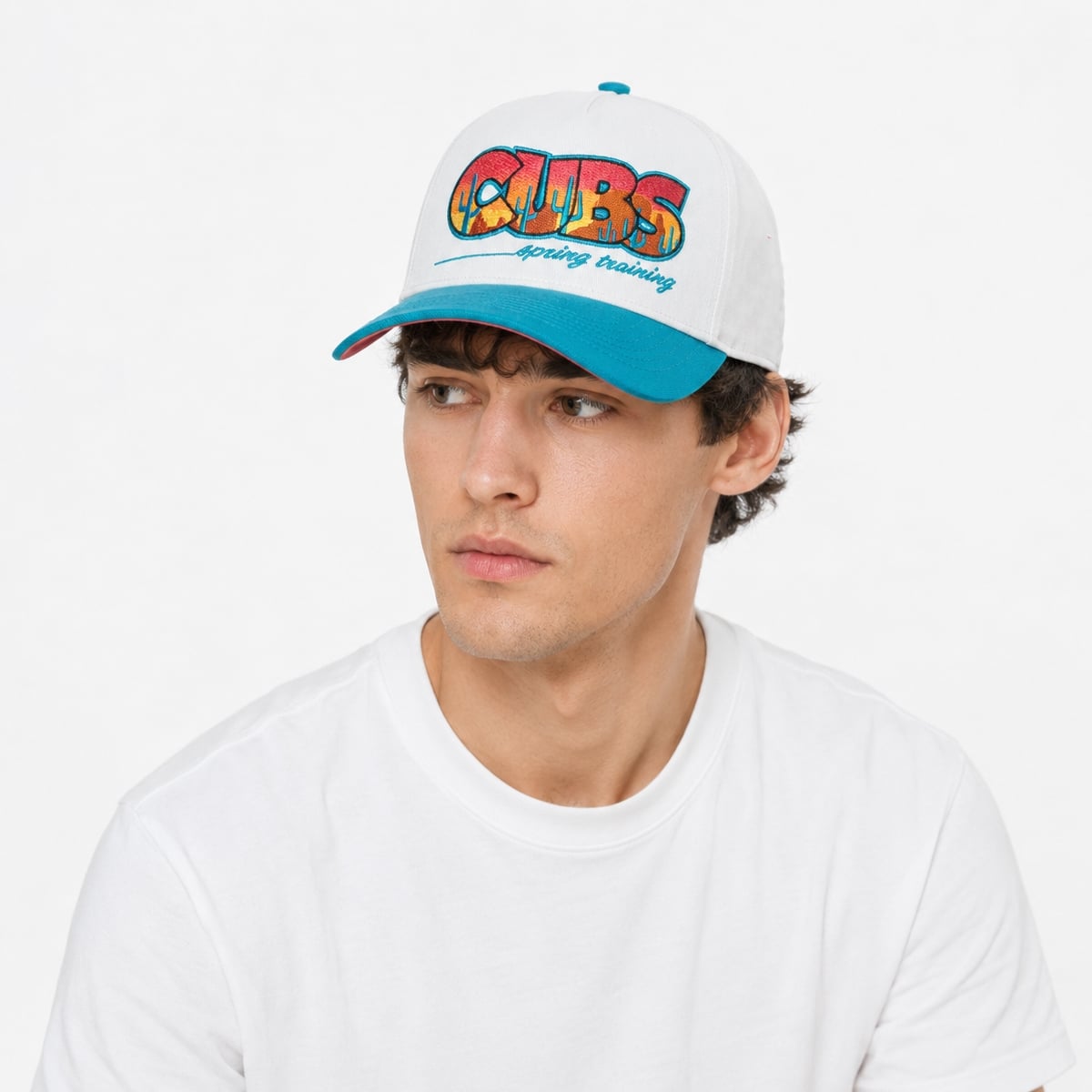 Big Cat Chicago Cubs Spring Training Hat 3 Big Cat Chicago Cubs Spring Training Hat 3
