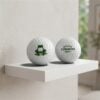 Red Sox Boston Common Golf Ball 2026 Giveaway 2