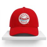 2026 Baseball Chicago Dogs Hat