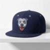 2026 Lehigh Valley Pitties Theme Night Hat 1