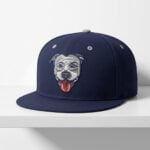 2026 Lehigh Valley Pitties Theme Night Hat