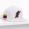 2026 Marlins Venezuelan Heritage Night Hat 0