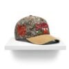 Carmelo Anthony Syracuse Salt City Hat 2