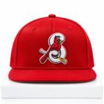 2026 Hancel Rincon Springfield Cardinals Hat