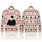 2026 All I Want for Christmas Is a Hug Ugly Christmas Sweater